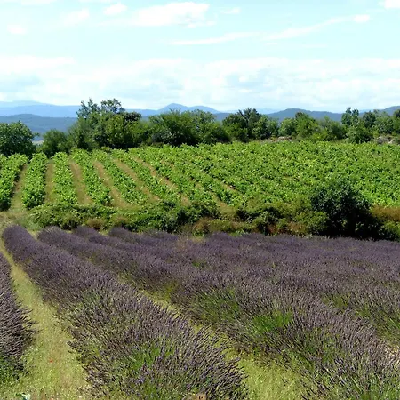 Neat On The Border Of The Ardeche
