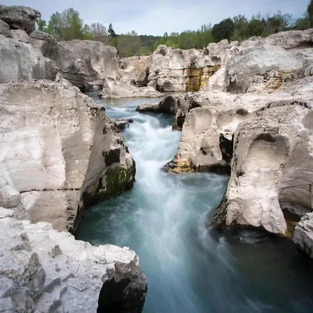 Neat On The Border Of The Ardeche Barjac (Gard)