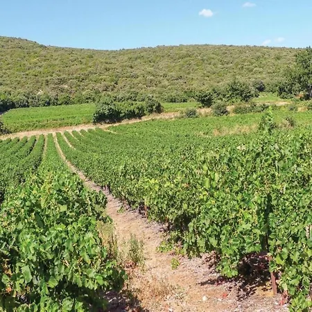 Neat On The Border Of The Ardeche Barjac (Gard)